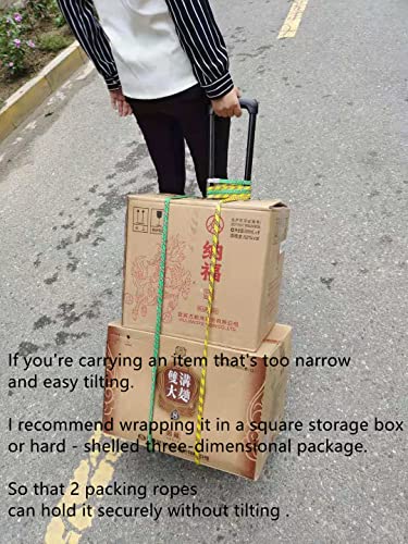 Minisize Folding Luggage Cart With 2 Wheels Lightweight Plastic Luggage Trolley Office Hand Truck For Shopping Travel Camping And School Use Trolley,L12.6 X W9 Inch.maximum Load 66Lbs #TOP1