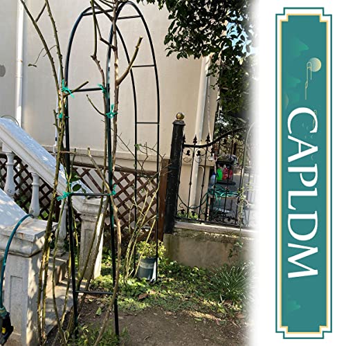 Rosenbogen Freistehend Pavillongestell Kürbisbogen, Rankhilfe Romantisches Gartenbogen 0.8x2m 1.2x2.2m 1.4x2.3m 1.8x2.2m 2x2.3m 2.4x2.2m 2.8x2.2m 3x2.2m 3.5x2.2m – Bild 4