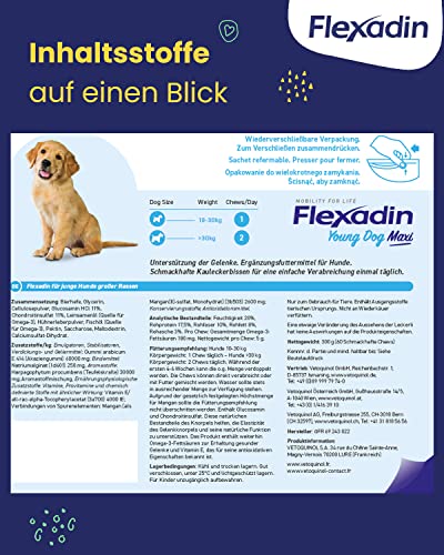 Flexadin® Young Dog Maxi| Für gesunde Gelenke von Jungen Hunden ab 10 kg | mit Glucosamin, Chondroitin, Omega-3, Teufelskralle – 60 Gelenkleckerli