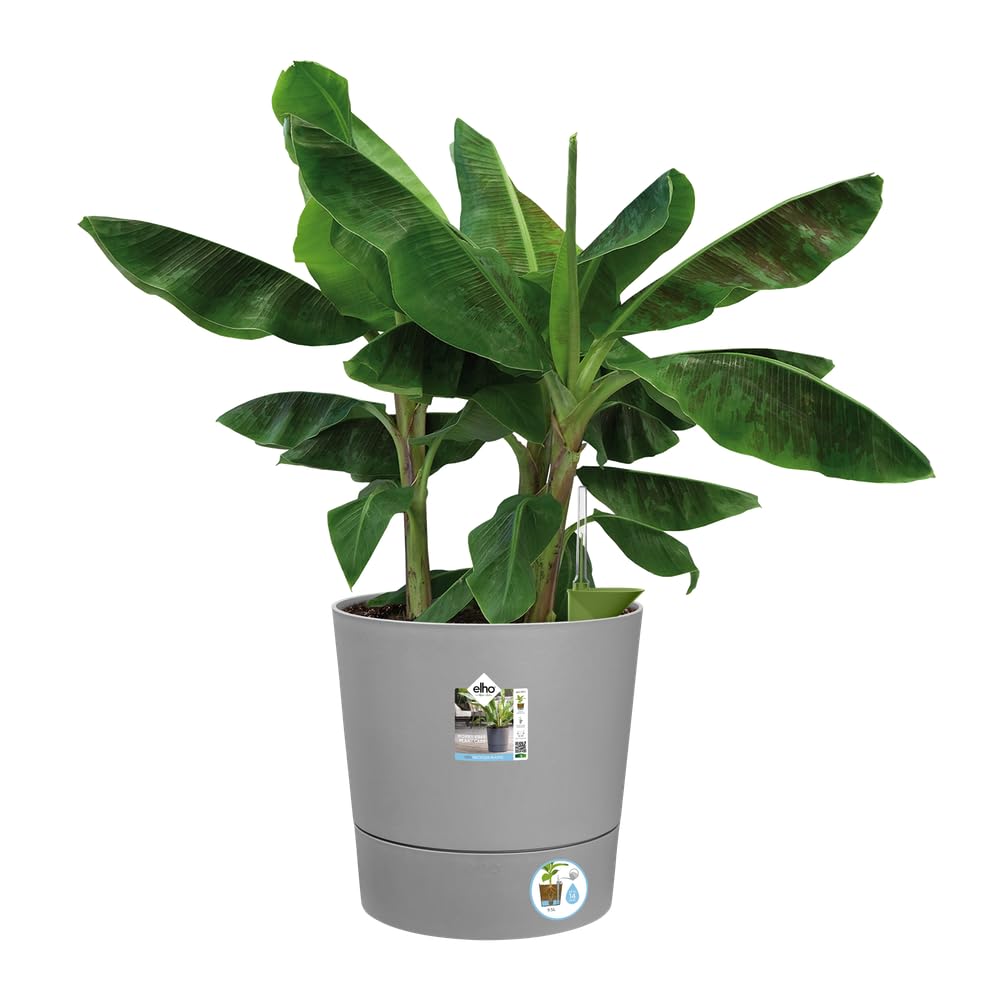 Elho Greensense Aqua Care Rond 43cm Pot de Fleur - Ciment Clair