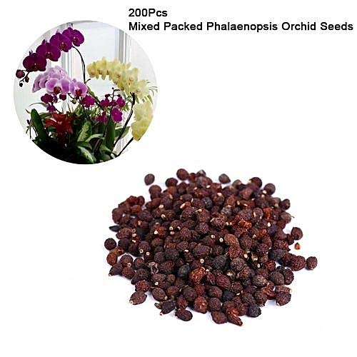 Jcssuper 100 Pcs Phalaenopsis Seeds Or Orchids Seed Mix Color Amazon In Garden Outdoors