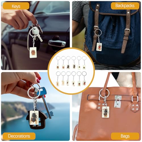 Image of balacoo Insect Specimen Keychain- 12Pcs Creative Insect Amber Specimen Pendant, DIY Key Ring
