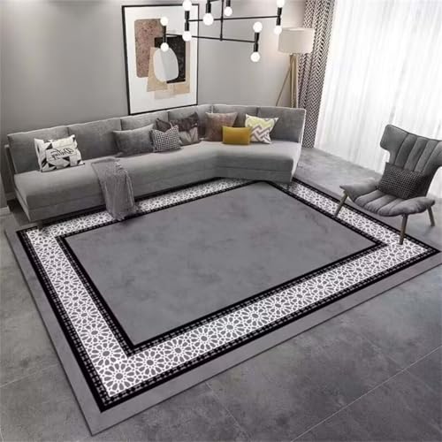 Tapis résistant à l'usure gris 180X250cm idéal pour passage intensif de chien