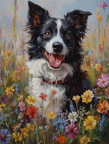 DIY pintadas a mano cuadro Border Collie de 40 x 50 cm regalo original de cumpleaños