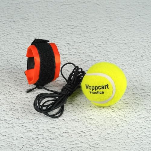 Image of Indoor‑Outdoor Cricket Practice Hanging Ball with Rope for Kids, Teens & Adults - Improve Bowling, Batting & Reflex Skills (Hanging Ball, 2)