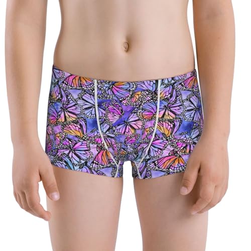 Boys' Cotton Boxer Brief Soft Underwear-Watercolor Butterflies