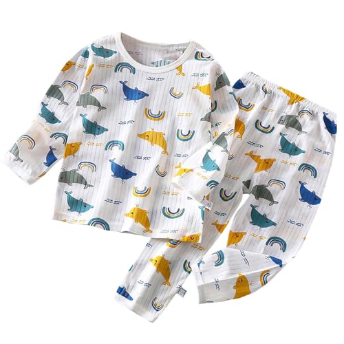 [Wapik] pW} LbY [EFA _炩  LN^[  Y{ j̎q ̎q q Q 2_Zbg \tgG  QԒ   c pW} xr[ ㉺Zbg iCgEFA xr[ tH~