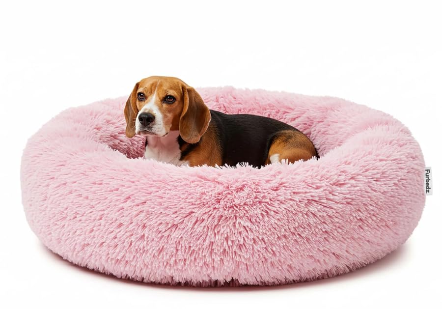 Furbedz Dog Bed for Medium Dogs, Stress Relief Design, Washable Bed with Removable Interchangeable Cover, Ultra-Soft Plush, Internal Lining, Orthopedic Memory Foam Support, Waterproof Base