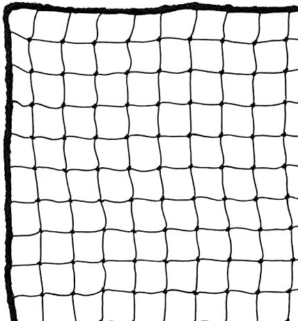 RinkMaster Protective Backstop Sports Netting - for Backyard Hockey, Baseball, and Soccer Practice 10' x 20' Panel