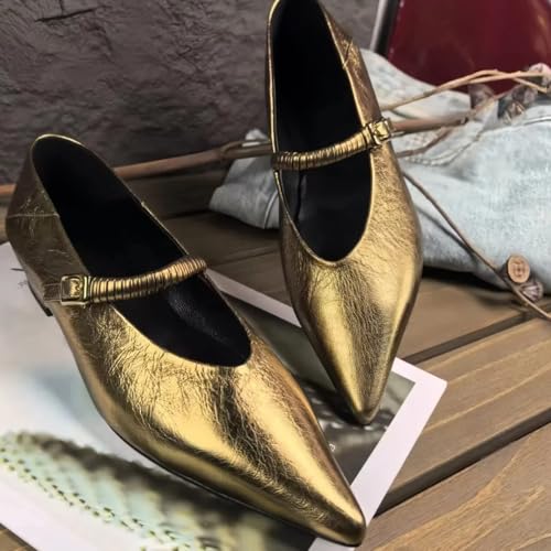 Metallic Style Pointed Toe Mary Jane Flats for Women with Side Metal Buckle Genuine Leather Shoes Low Heels&Low-Cut Comfort Casual Dressy Office Work4