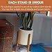 Fox & Fern Mid-Century Modern Plant Stand - Solid Walnut - EXCLUDING 10