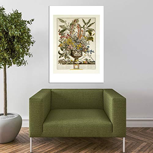 Roberty Furber Grande Affiche d'Archivage Mate Janvier 12 Mois de Fleurs Spiffing Prints - 7