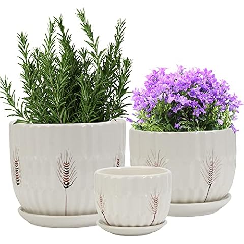 Laerjin Plant Pots with Drainage Holes and Saucers 4.17" & 5.62" & 6.88", Set of 3, Ceramic Round Modern Plant / Flower Pot with Tray For Garden, Outdoor, Small to Medium Sized Cover