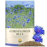SunHaven Seeds Bachelor Button Seeds – Blue Cornflower – 5,500+ Seeds – 1 oz Bulk Extra Large Resealable Packet – Open-Pollinated Centaurea cyanus Wildflower Seeds