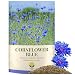 SunHaven Seeds Bachelor Button Seeds – Blue Cornflower – 5,500+ Seeds – 1 oz Bulk Extra Large Resealable Packet – Open-Pollinated Centaurea cyanus Wildflower Seeds
