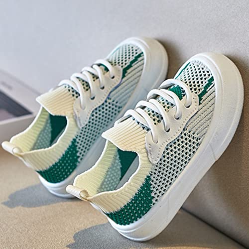 sfdgfhyf Little Kid Solid Color Sneakers Children Shoes Fashion Flat Sneakers Boys and Girls Casual (Green, 10 Toddler)3