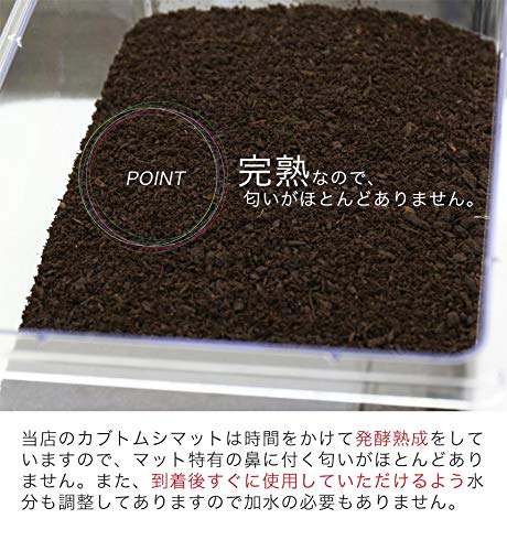 Amazon | 【 販売 むしや本舗】超高カロリー！ 廃菌床 完熟 カブトムシ