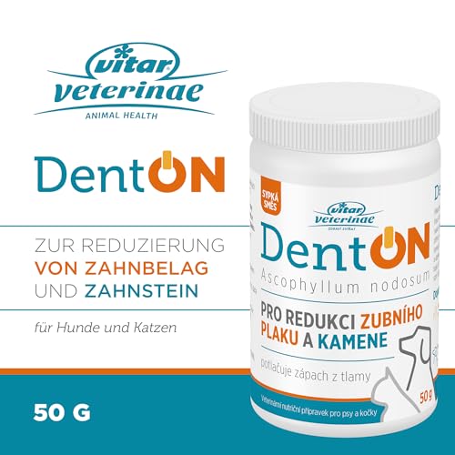 VITAR Veterinae Zahnpflege Hund - Zahnsteinentferner Hund, DentON Dental Pulver für Hunde 50g, Entfernt Plaque, Auch für Katzen geeignet, Mundpflege gegen Mundgeruch, mit der Alge Ascophyllum Nodosum