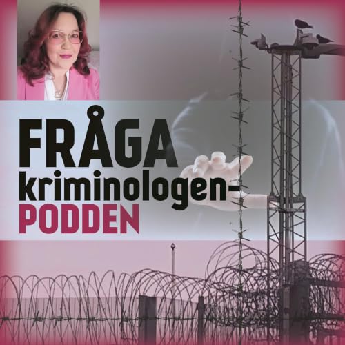 Sorgeliga saker - om &aring;terkommande temata f&ouml;r brott