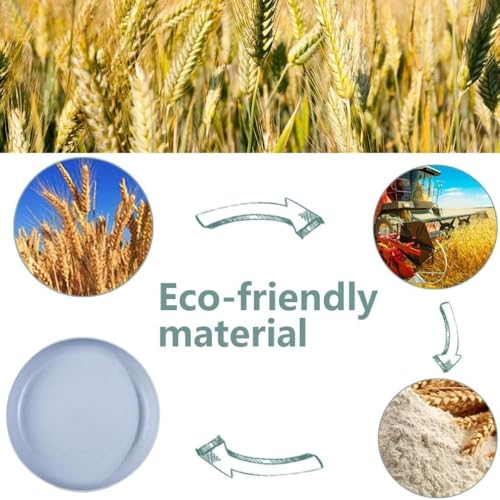 Image of Wheat Straw & Bamboo Fiber Plates Set, Lightweight Dinner Plates, Microwave and Dishwasher Safe, Plates Easy to Clean & Reusable (9 Inches, Blue, Set of 6)