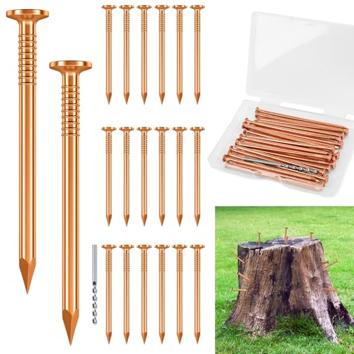 UNIFAMILY 20Pcs Copper Nails for Killing Trees Stump Root