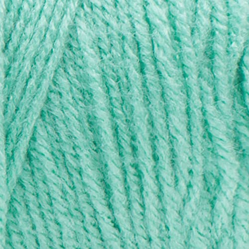Image of RED Heart Super Saver Yarn, Aruba Sea
