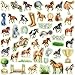 Fancy Land Horse Stickers for Kids 306Pcs 12 Sheets Horse Stickers Birthday Party Supply Classroom Reward Gifts Kentucky Derby Party