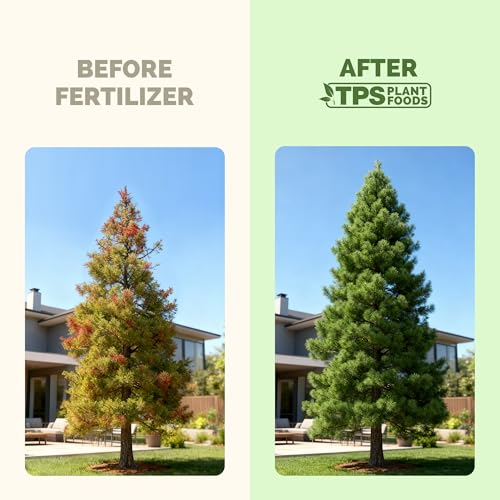 Fertilizante Pine Tree líquido 8 oz para pinos miniatura 3