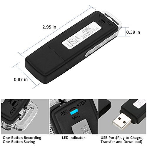 Digital Voice Recorder; Modea Portable Digital Usb Disk Audio Voice Recorder With U Flash Memory (8Gb)(Black) #TOP2