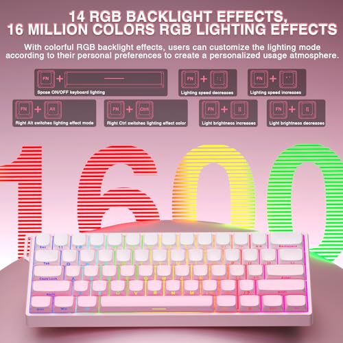 Image of Aula WIN60 HE - 60% Mechanical Gaming Keyboard Wired, Hall Effect Magnetic Switch Hot Swappable,8000 Hz Polling Rate, RGB Keyboard 60 Percent Compact Design for PC (Gradient Pink)