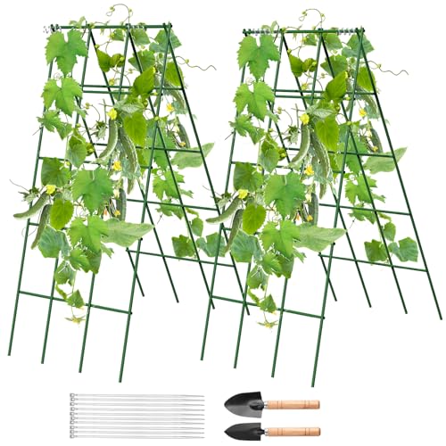 Cucumber Trellis,2 Pack Trellis for Cucumbers,Outdoor...