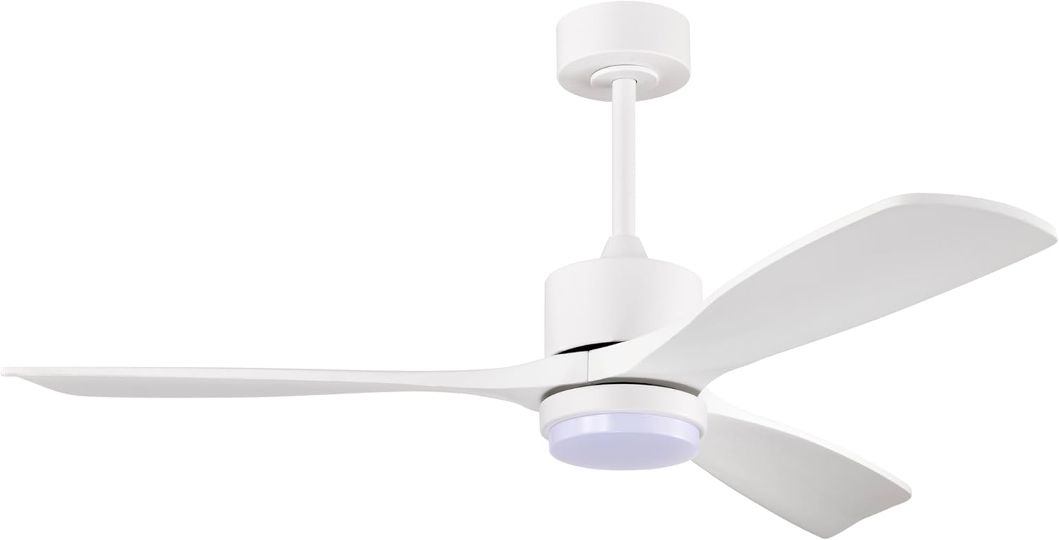 Fergus 5-Blade Lighted Ceiling Fan with LED Lamp with Remote