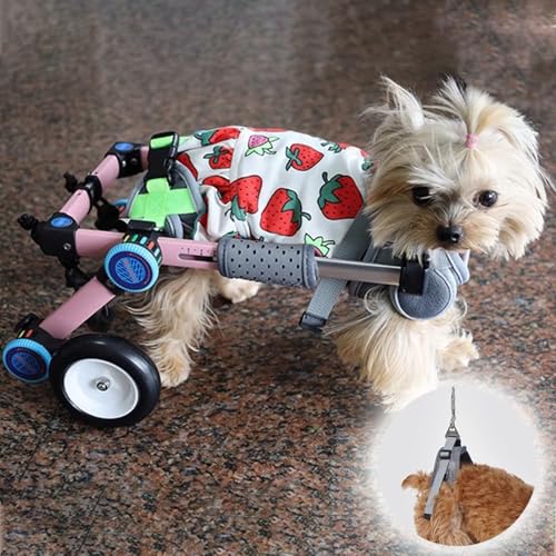 Fauteuil roulant pour chien rose portable pour de belles promenades au parc en famille