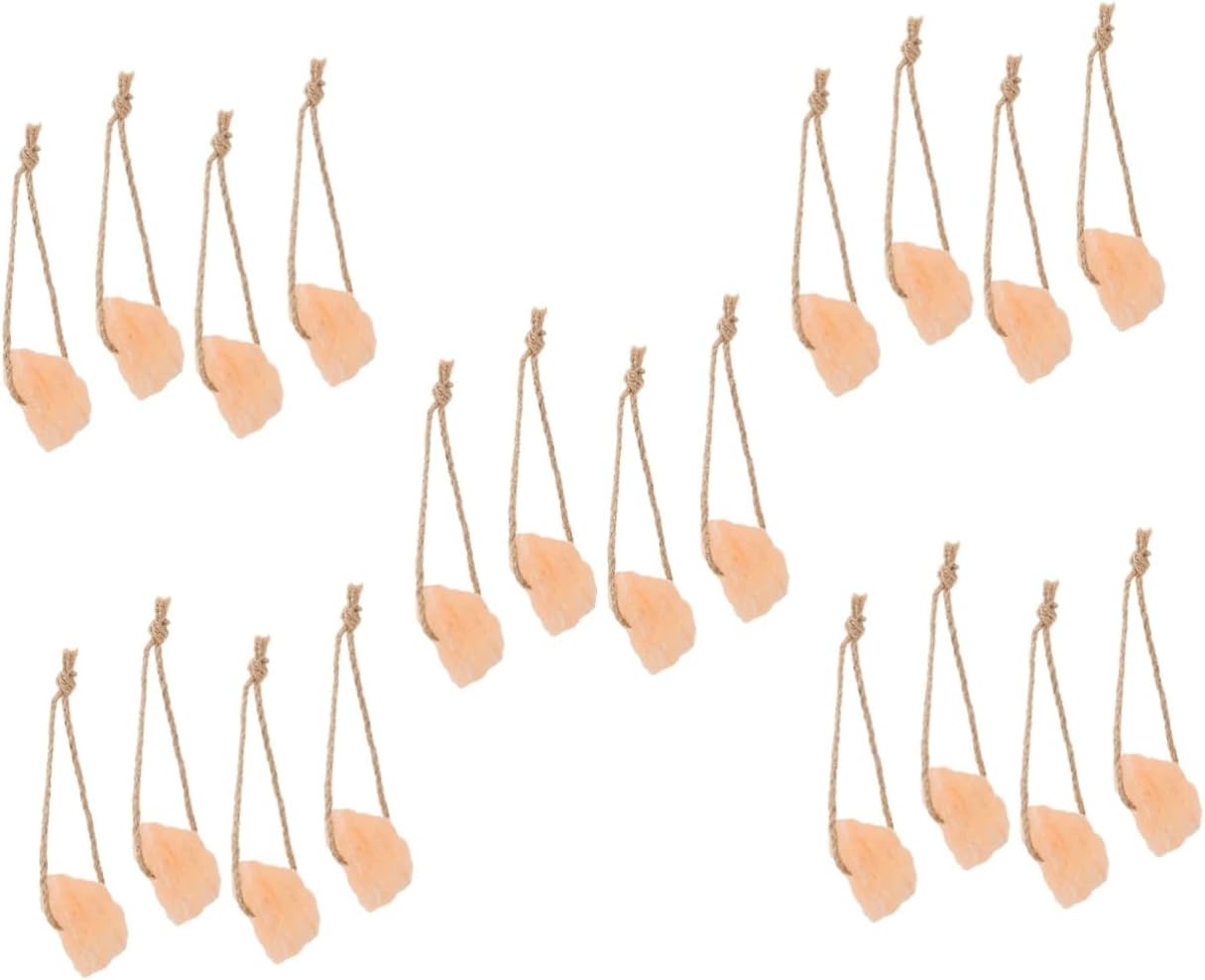 20pcs Salt Blocks with Holder Cows Deer for Livestock Health Easy to Manage Store Nutrient-Rich Salt for Energy Vitality