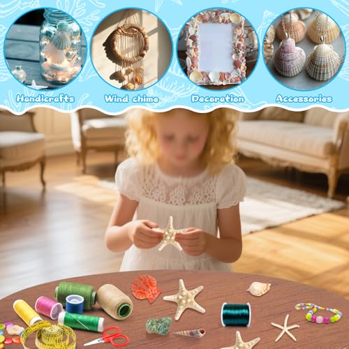 Conchas marinas decorativas para centros de mesa de boda playera y rellenos de jarrones 5