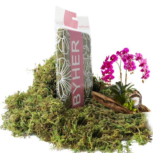 BYHER 4 OZ Fake Moss for Potted Plants, Artificial Green Moss for Crafts Faux Moss for Indoor Planters Fairy Garden Table Centerpieces Wedding Decoration (Fresh Green)