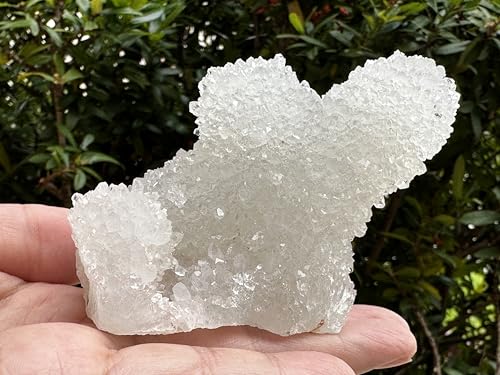 Image of GAF TREASURES Chalcedony & Crystal Quartz Stalactite 3-8 inch, Natural Quartz on Chalcedony Stalactite Specimen (0.25-0.5 lb)