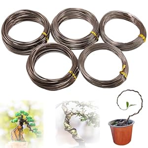 Dzdsbb Bonsai-Trainingsdraht 5 Rollen Braun