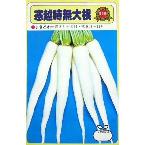 �卪 �� �y ���z���� �z ��q ���܁i��10ml�j