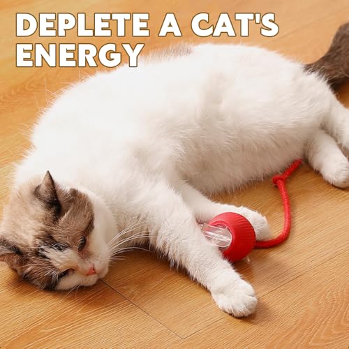 Image of Chewie Viral Interactive Rolling Ball Toy for Cats and Dogs - 360 Smart Automatic Pet Ball (3 PCS)