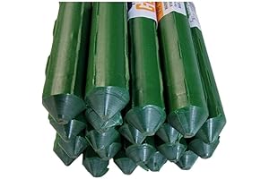 Thriving Design 6 Feet Tomatoe Stakes for Plant Support