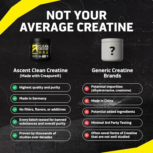 Best Creatine Timing for Older Adults: What Actually Matters 3 Ascent Clean Creatine Monohydrate Powder - 5G Per Serving, Creapure Supplement - Unflavored, 45 Servings