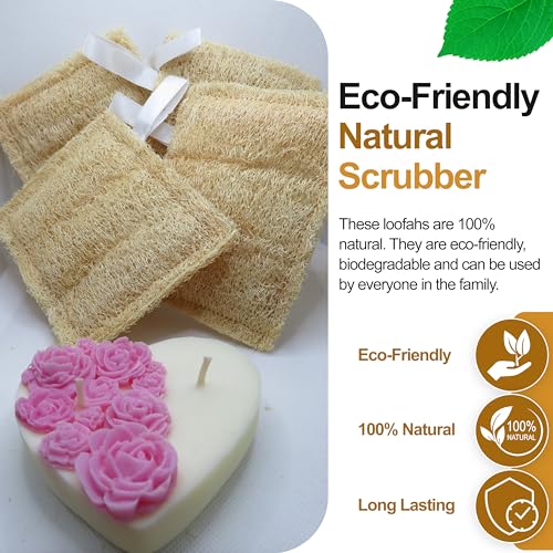 Four Piece Luxury Loofah