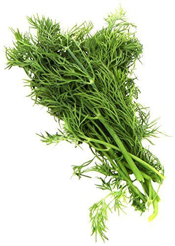 Herb Dill Baby Bunch Organic