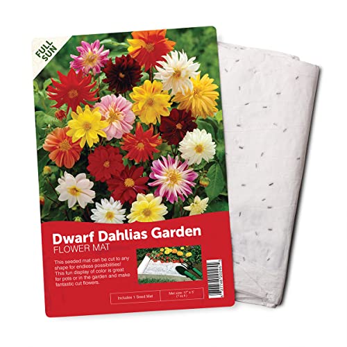 BloomingBulb Seed Mat - Easy to Plant and Grow Garden Seeds - Creates Fragrant Vibrant Flower Garden Customizable Flower Beds- Dwarf Dahlia Flower Mat