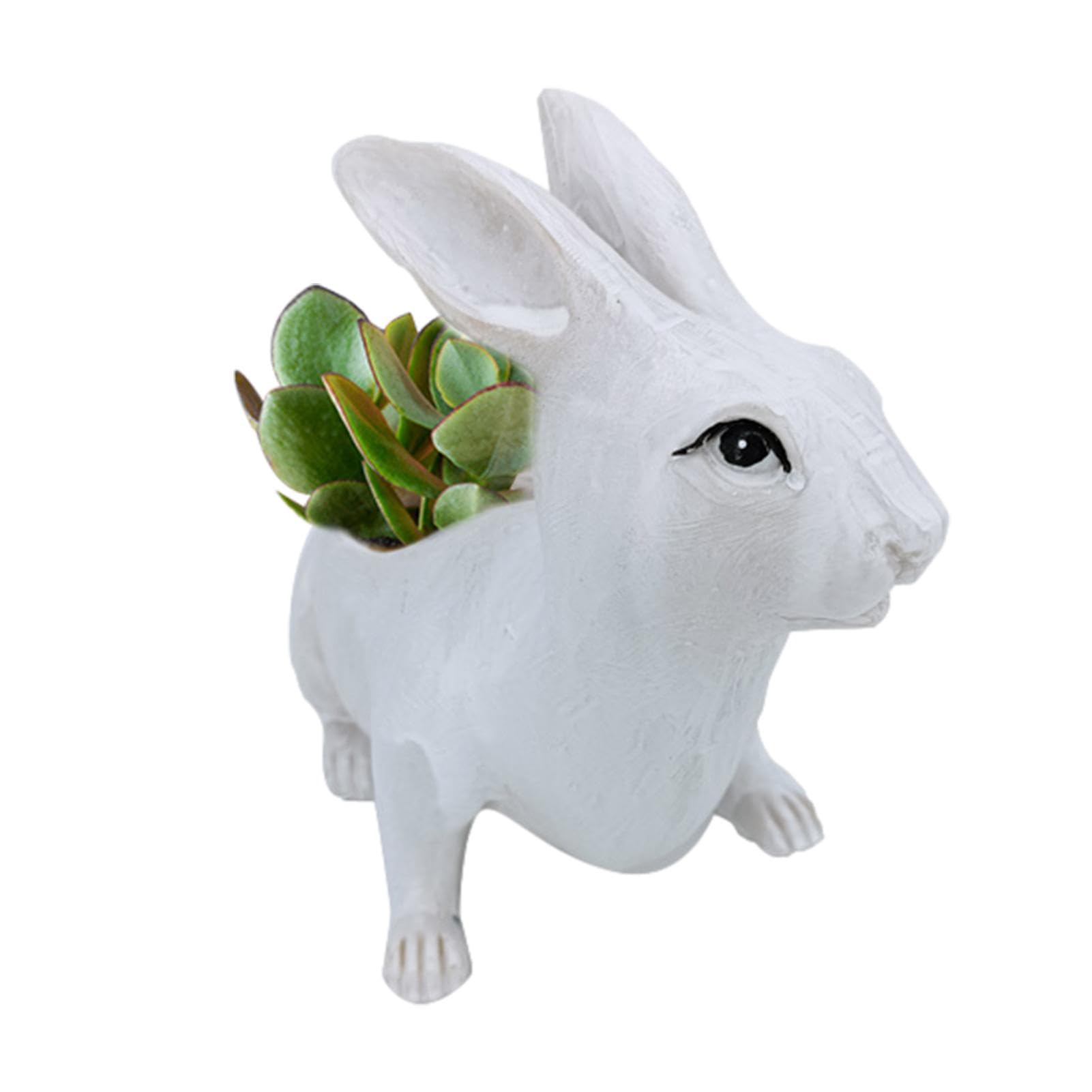 Amazon.co.jp: ウサギの植木鉢 - かわいい多肉植物プランター ウサギの