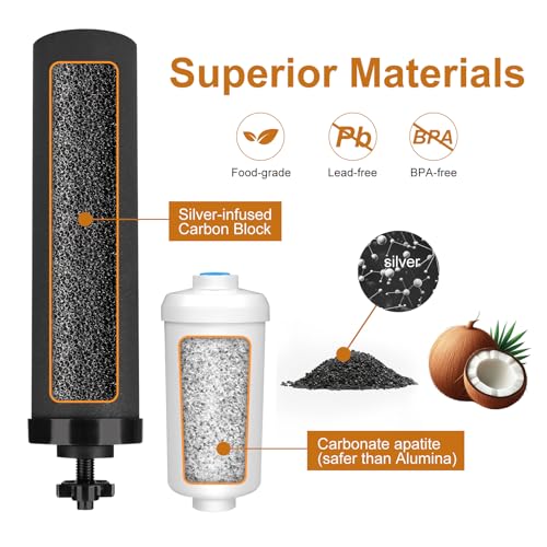 Water Filter Replacement for Berkey®, 2 Black Carbon Filters and 2 Fluoride Filters Compatible with Berkey® Gravity Water Filter System