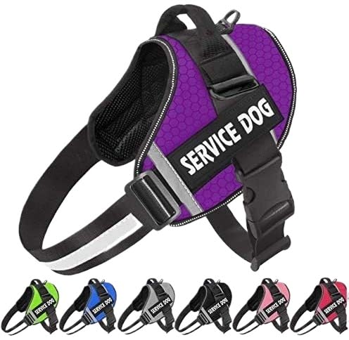 ペット用チェストハーネス PVC防水素材 複数の色から選択可能 調整可能なデザイン 小型・中型犬向け 防爆衝撃 対反射ナイトビジョン 牽引ロープ (紫色 > L)