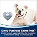 BISSELL ProHeat 2X Revolution Pet Full Size Upright Carpet Cleaner, 1548F, Orange