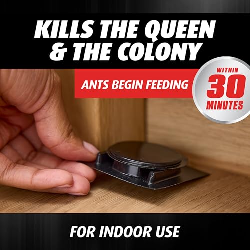 Ortho Orthene Ant Killer Ant Bait, Indoor Ant Killer, Kills The Queen and The Colony, 12 Stations, 2-Pack
